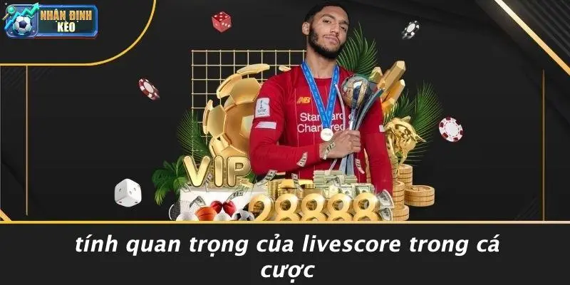 Tính Quan Trọng Của Livescore Trong Cá Cược