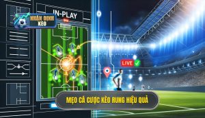 Mẹo cá cược kèo rung hiệu quả