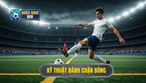 Kỹ thuật đánh chặn bóng