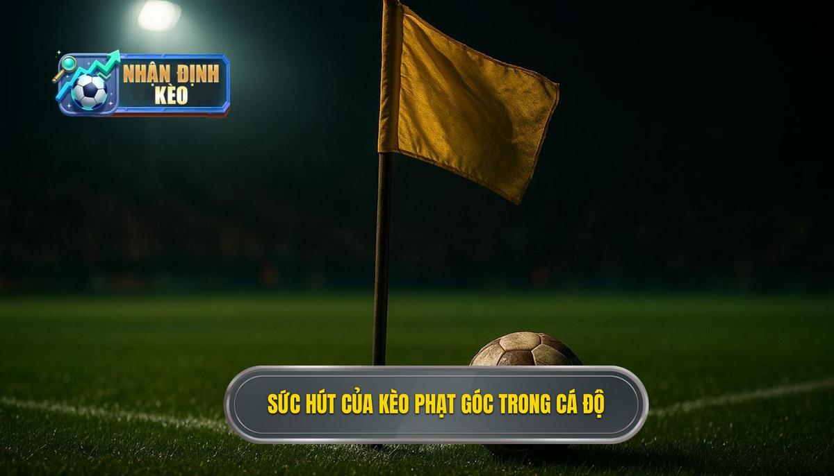 Bản chất và sức hút của kèo phạt góc trong cá độ bóng đá