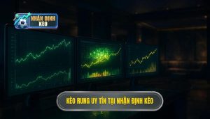 Kèo rung uy tín tại NHẬN ĐỊNH KÈO