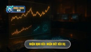 Nhận Định Kèo_ Nhận biết kèo dụ.