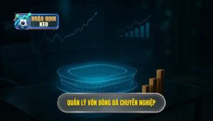 Quản lý vốn bóng đá chuyên nghiệp